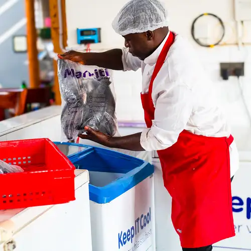 Keep IT Cool Picture